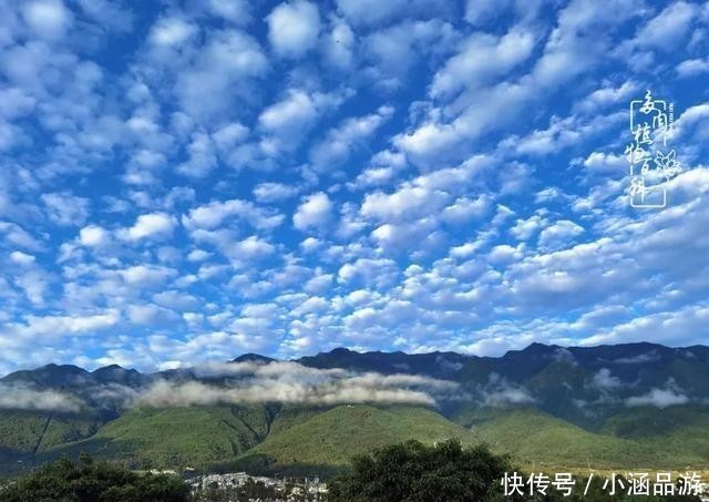 从一颗到500多盆,遇见多肉后,满眼全是你!