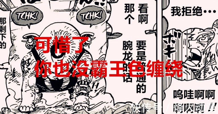 战斗服|海贼王:为什么说奎因根本就不是山治的对手?这三点因素说明一切