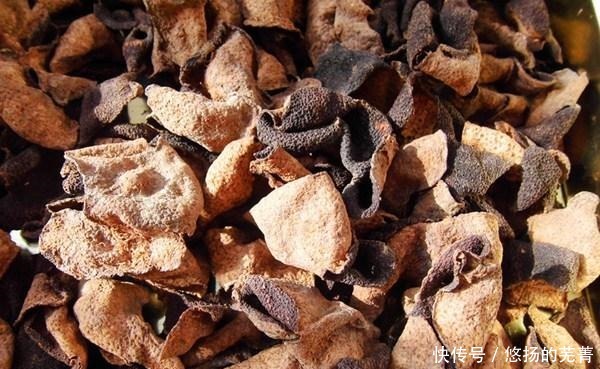 透漏|橘子皮晒干不就是陈皮,为啥1斤7000多老果农透漏其中的猫腻