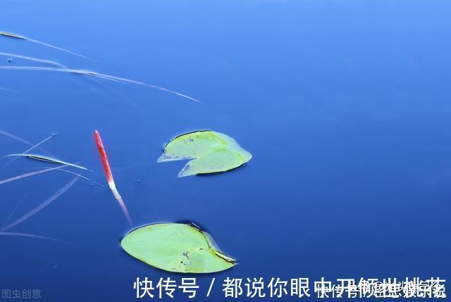 半目|鲫鱼都是送漂?谣言!这7种漂相都是鲫鱼吃钩,看你错过多少鱼