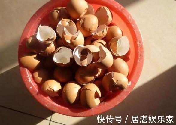 腐叶土|养花缺不了营养土不想要花钱买,就添加上它们,比买的还好