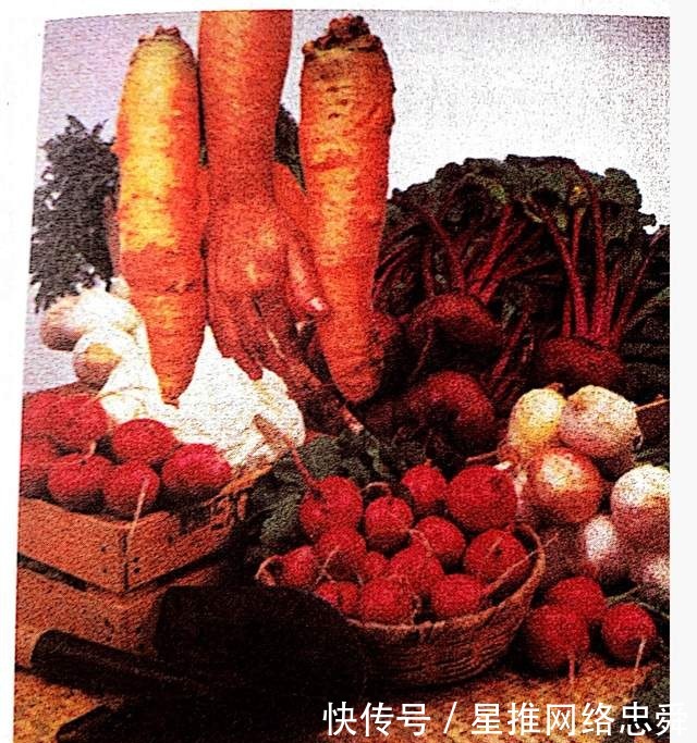 《真原医》:良医治未病,果农求匠心;营养全