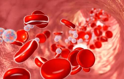 指标|预防尿毒症除了降肌酐，医生提醒：4项指标稳住，肾功能更有保障