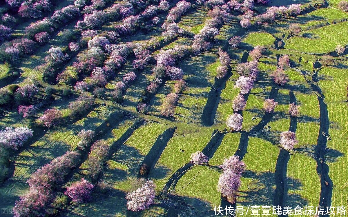 雅鲁藏布大峡谷|藏在雅鲁藏布雪域樱花美景，完爆云南无量山，十里水上画廊多闪烁