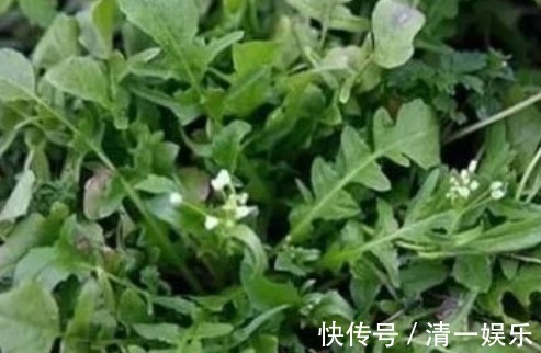 排毒养颜|女性吃的好才能身体好,3种食物离不开,排毒养颜,好吃又健康