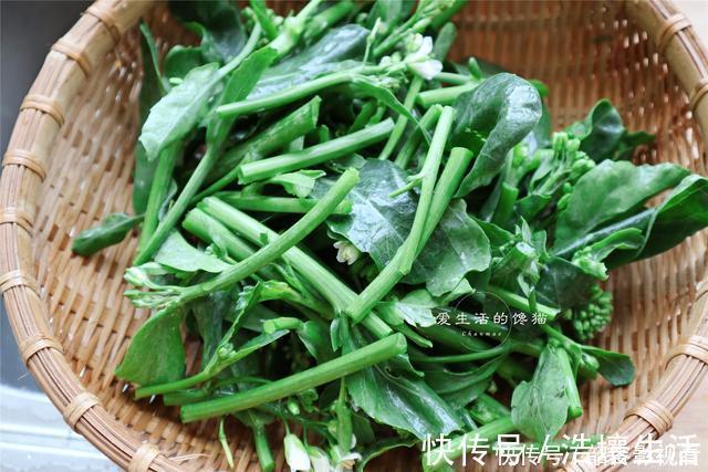 常熬夜就吃这菜,清心下火,通肠道,3元一大捆,难怪大婶抢着买