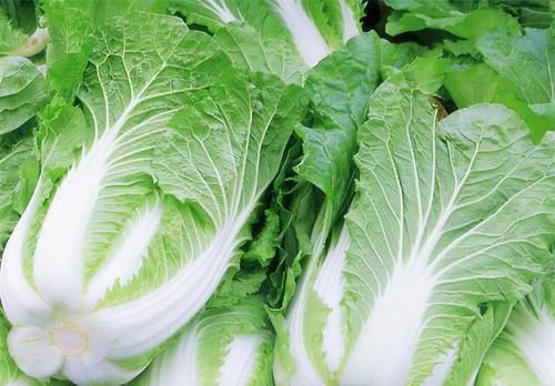 海带|女性中年气色好,坚持吃以下好食物,补充营养,滋润肌肤,肌肤好