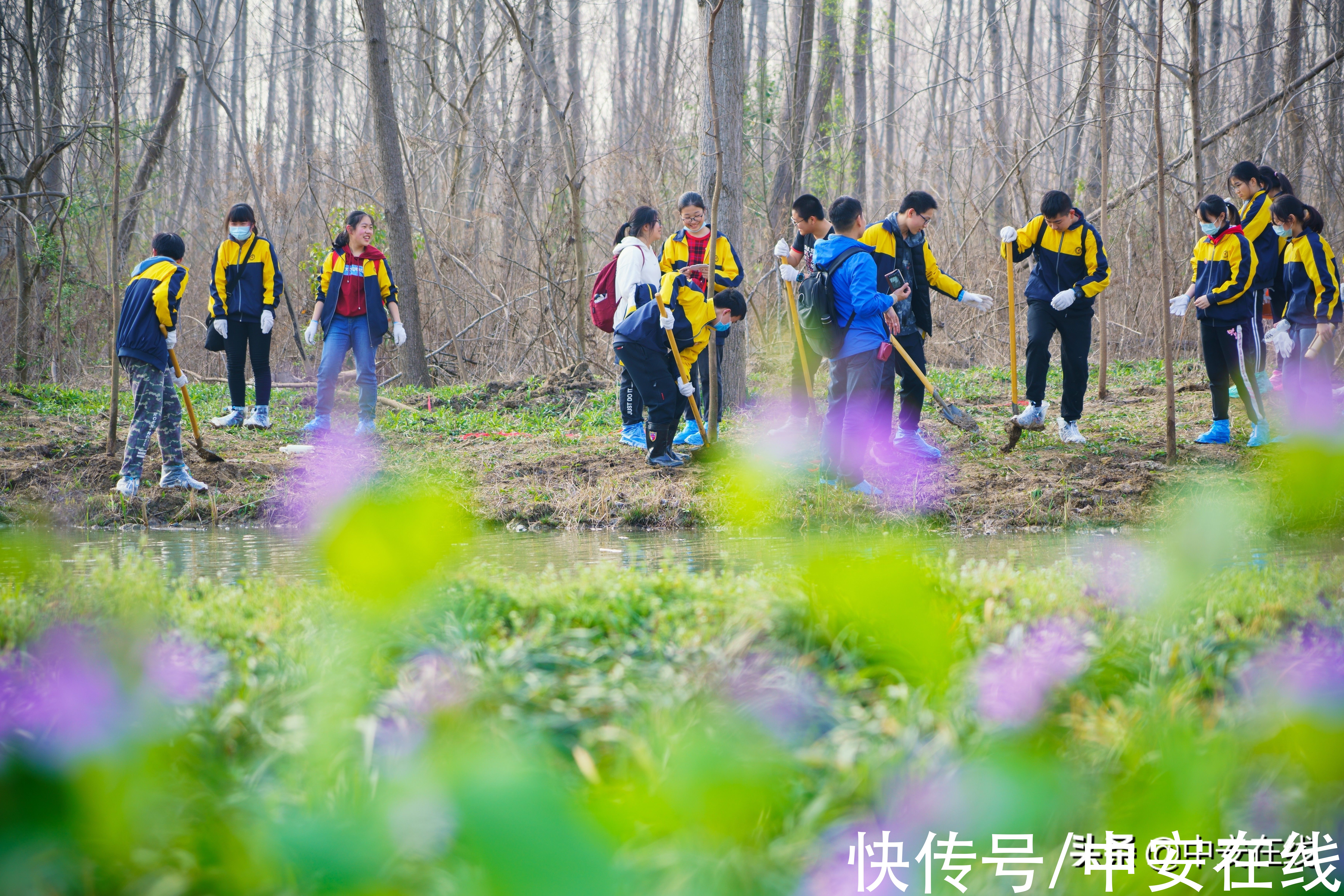 合肥|美丽安徽：胜日寻芳景 皖山皖水情