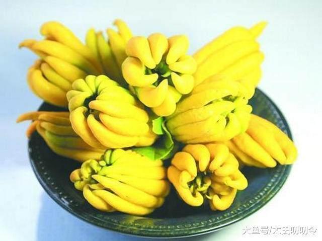 诗作&看完这个丑和尚和老女佣的诗, 九成诗人可以搁笔了