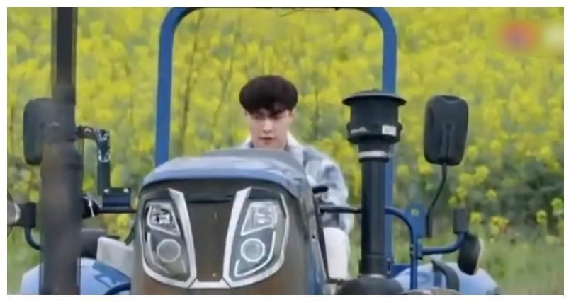 张艺兴|黄磊吓唬杨紫辟谷,杨紫卖惨哭唧唧,张艺兴大秀厨艺讨好她