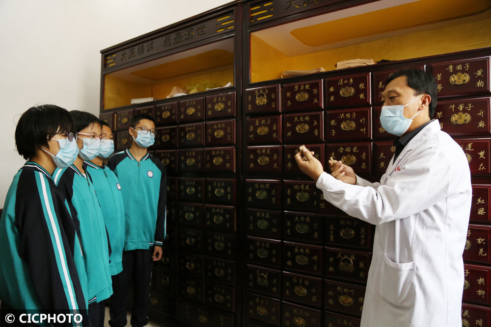 中医|体验中医文化 迎接“世界传统医药日”