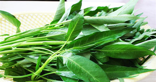 排毒养颜|空心菜与此物混着吃,就是没病找病,还有人每天都吃的停不下来