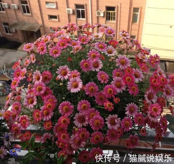 这9种花园,随便1个都美上天了,有一种这辈子就满足了!