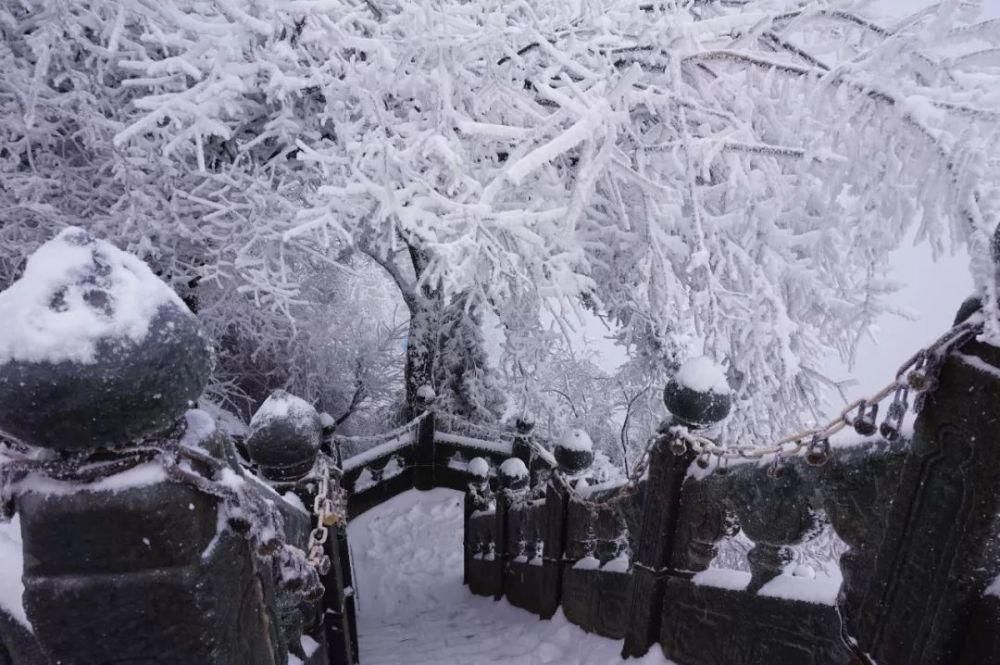 风雪|风雪武当山,仙境藏玄机!大雪封山时,道人、隐士都在干什么!