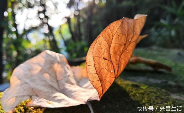 财神爷|财神爷点名，下半年运势高昂，大喜天降，赚大钱水到渠成的3生肖