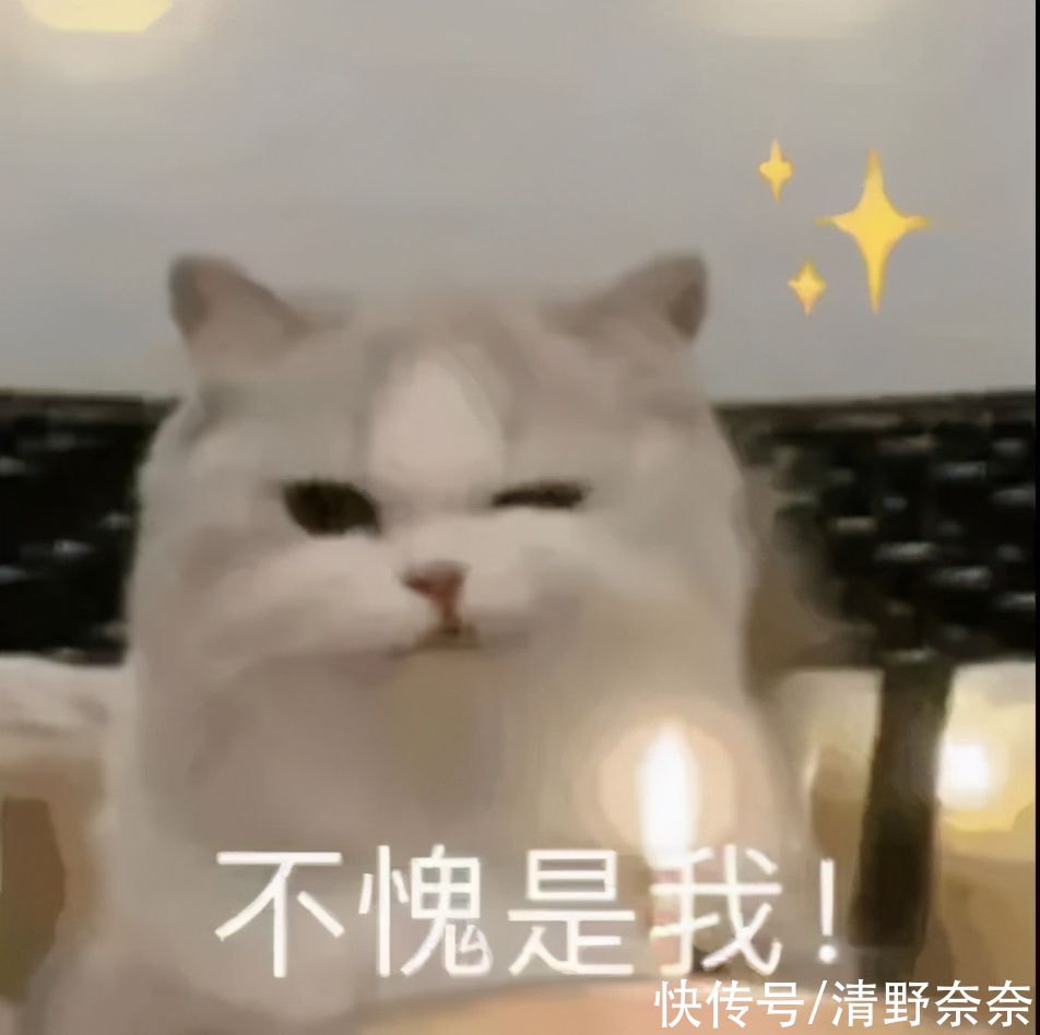 最近发现好像没有平替一说了？你买的平替真的好用吗？