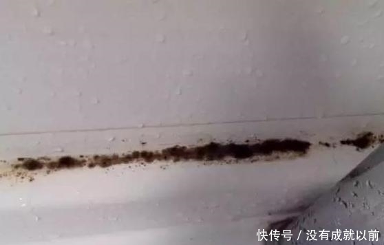 卫生间里这东西,家家户户都有,但它会产生黄曲霉,以后别用了