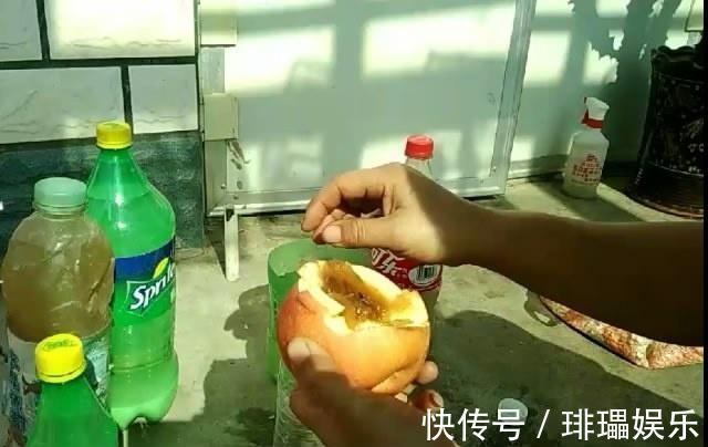 养分|家里常扔的一种“皮”,水里泡一泡,浇花响当当,叶片肥壮花儿旺