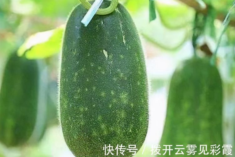 女性|女性不想满脸皱纹，可以多吃3种食物，营养丰富，身体棒棒哒！