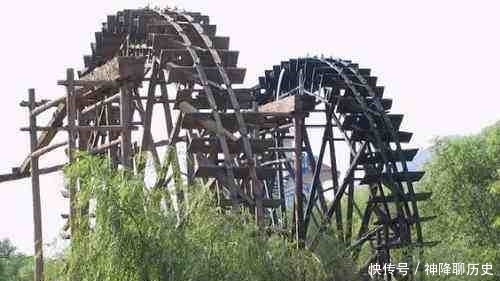 黄河岸边有一种宝贝,如果不加以保护,相信很快就看不到了