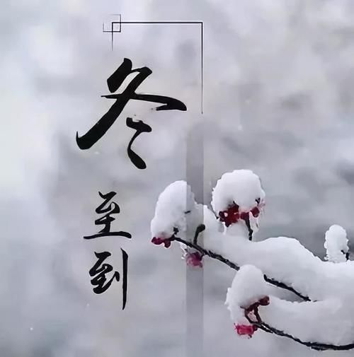  节气|冬至大如年，你该知道的养生秘诀都在这里啦！