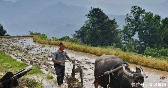 农民用陶罐喂鸡, 专家看到后很奇怪, 30多年后国家禁止出国展出!