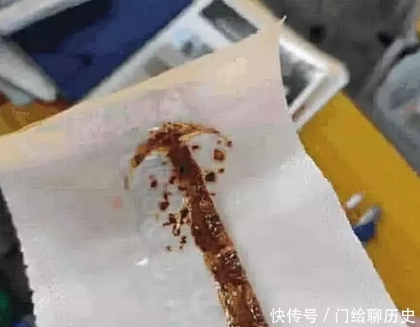 屁桃|“笑到嘴痛”的买家秀:屁桃君是刚从非洲回来?辣肠里面的肠丢了?