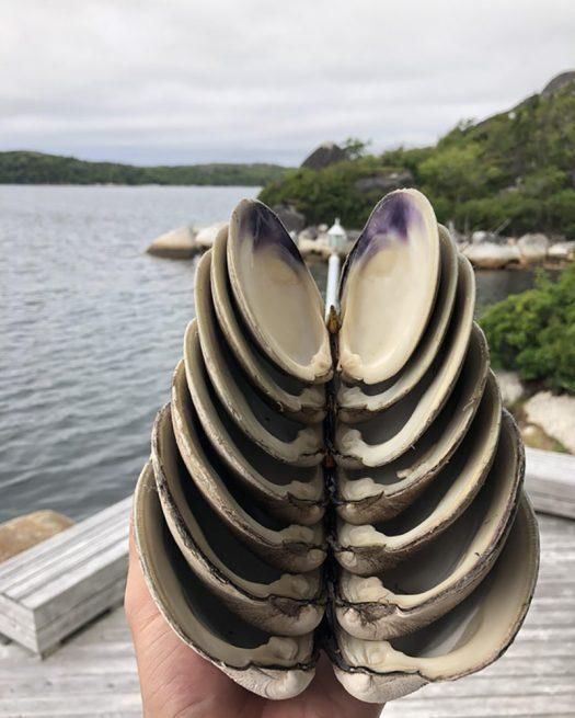 14张给强迫症患者带来满足感的画面