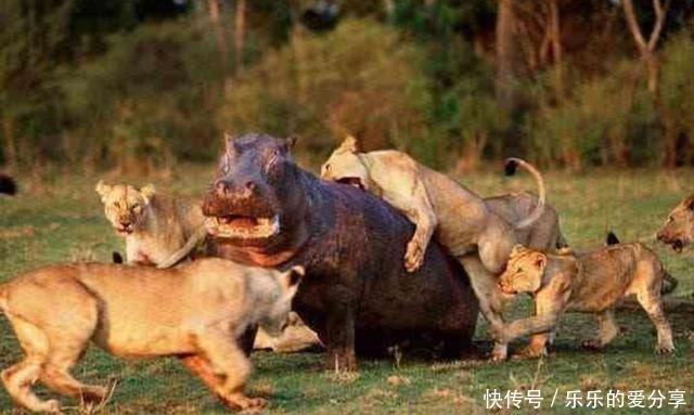 |沙雕动画，搞笑：大学生的周末安排，像极了那个时候的我们！