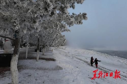 冰雪|沸腾冰雪季 乐游黑龙江｜来呼玛，感受别样冰雪之美！