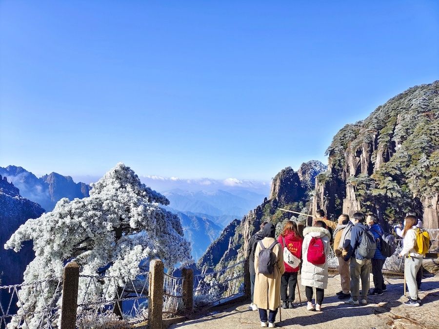 黄山风景区|零下10．3℃ 安徽黄山现大面积雾凇景观