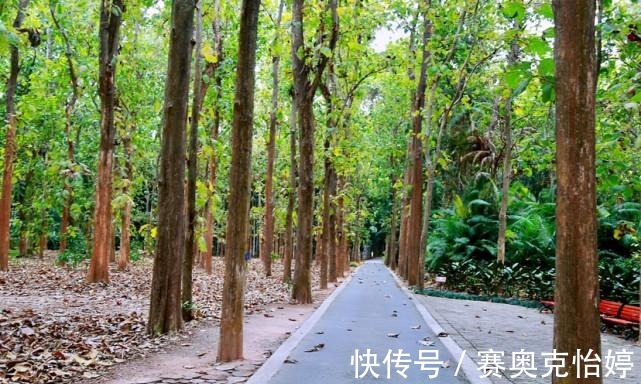 葫芦岛|西双版纳的热带植物园，怎么跑到辽宁的葫芦岛，我有点懵了