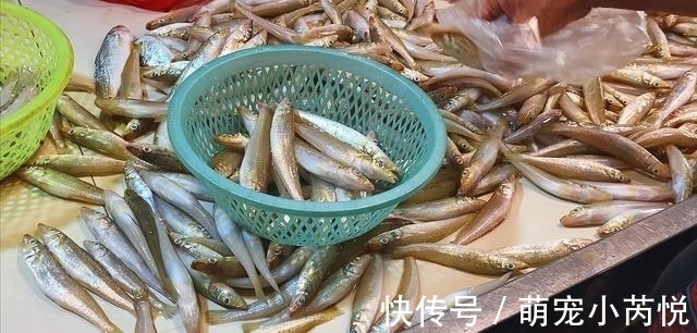 鳜鱼|营养极高的“5种鱼”，由于个小被嫌弃，内行人却常吃