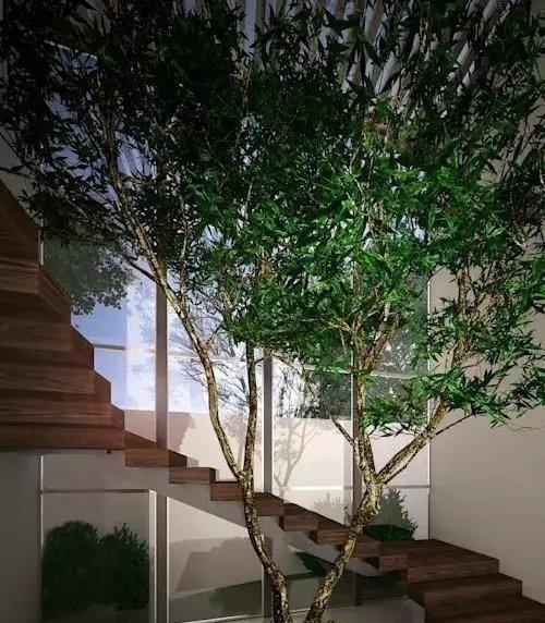 花卉|同样是楼梯,别人家装成漂亮小花园还带鱼池,你家却用来储物