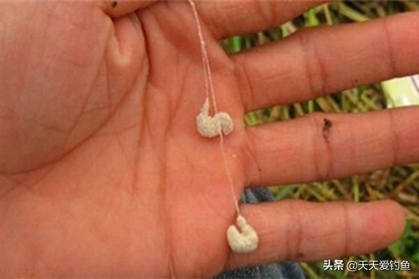 鲫鱼|民间野钓大鲫鱼绝招解析蘸饵钓法,钓鱼人必学,正适合秋季使用