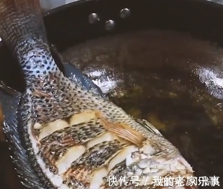 营养|唯一让中国吃货退却的鱼！营养比甲鱼高，全身是宝，只要4元一斤