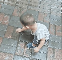 |搞笑GIF:看到这一幕,看感觉自己活的还不如一只狗了呢