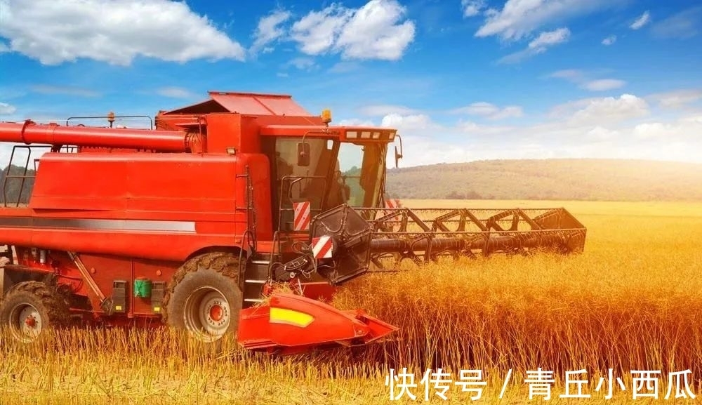 五律&闫志梅：五律·秋收(外二首)