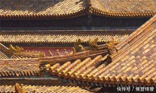 故宫屋顶为何没有鸟屎?专家道破玄机后,网友:老祖宗真聪明
