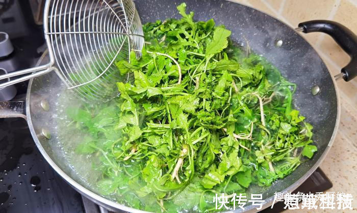 秋天，用此菜包饺子，比萝卜白菜营养，比韭菜鲜，再不吃就过季了