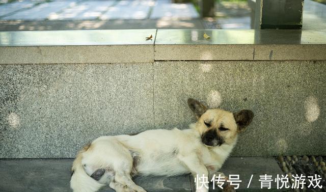 宝妈|“等闲下来我就减肥”说这话的男男女女们,你们都瘦下来了吗?