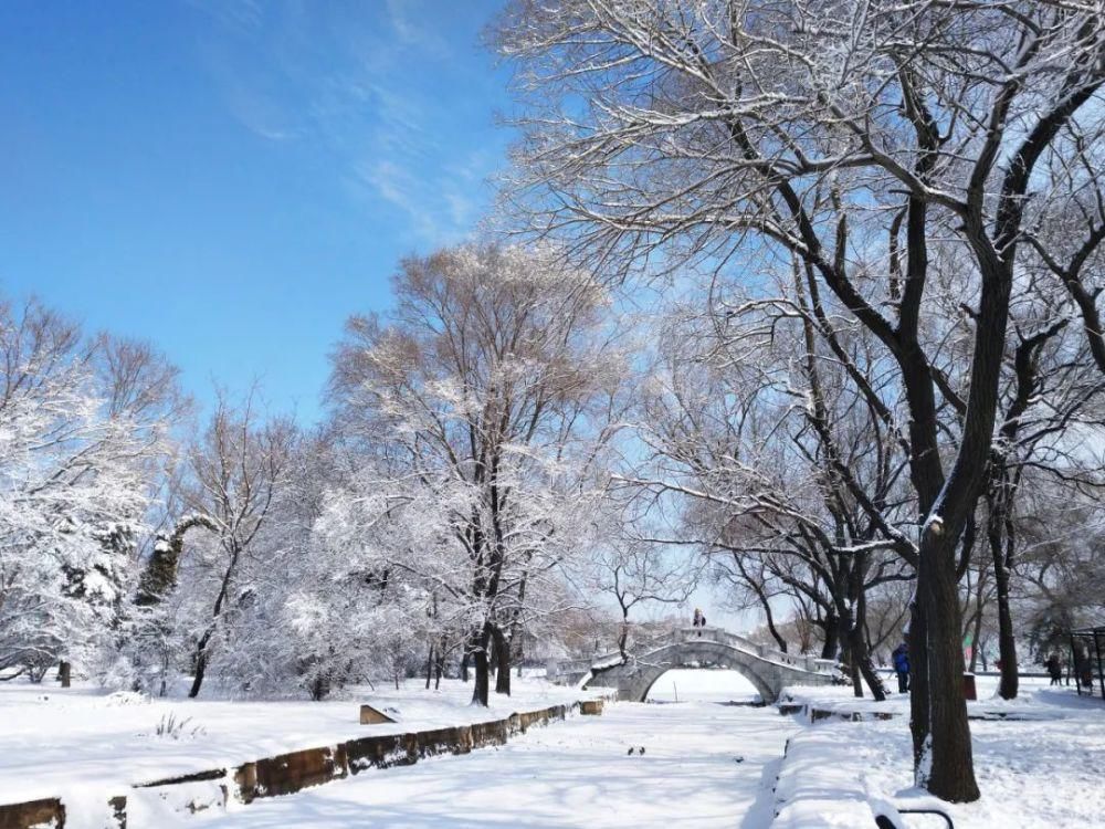 世界|雪后的中国，穿越了千年！惊艳了世界！