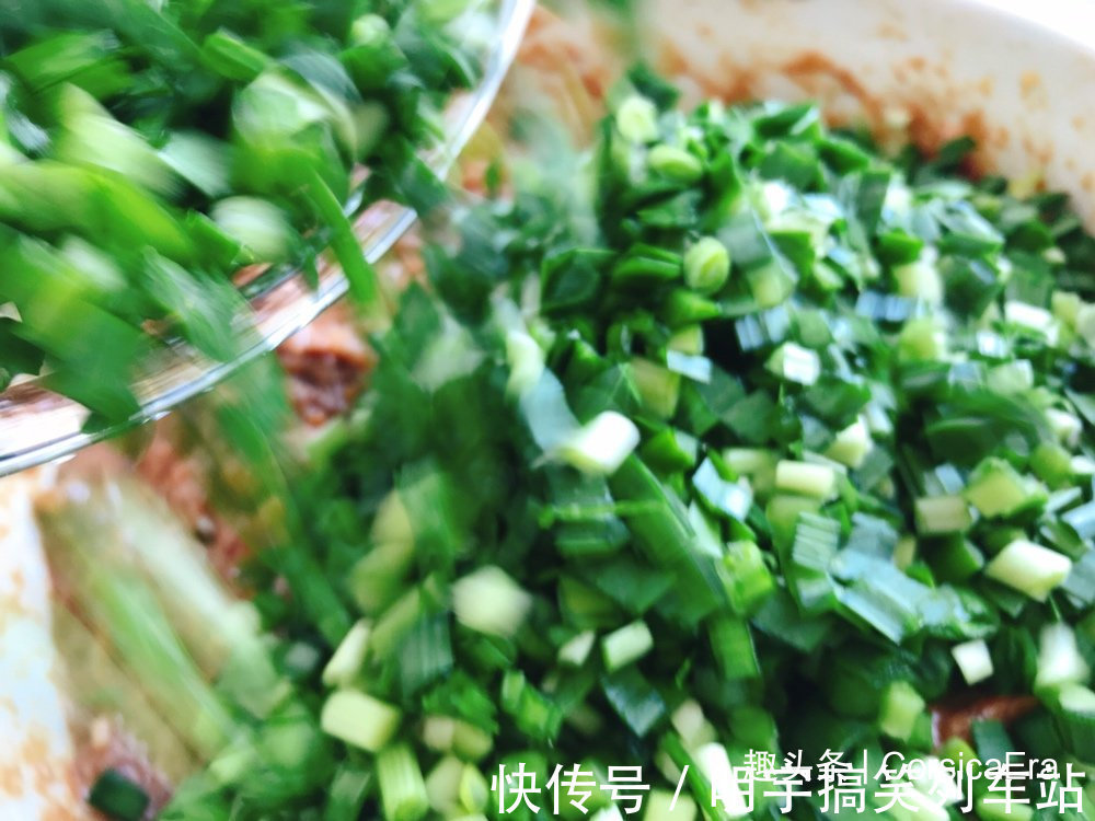 肉馅|头伏到吃饺子,分享8种饺子馅的调法,有荤有素,鲜嫩营养又多汁