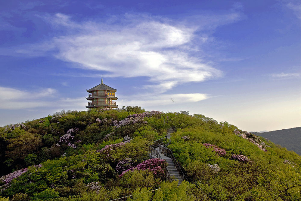 山城|中国旅游日：税惠力度“不松” 助力山城旅游节节攀升