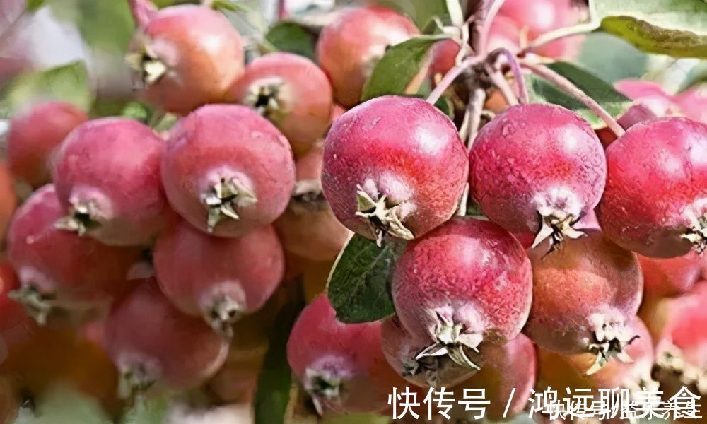 山楂|山楂十九片,血管好一年!软化血管降血压,老中医一喝一壶