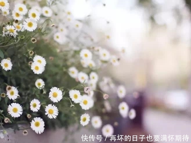 满秋窗|江城子·碎影满秋窗