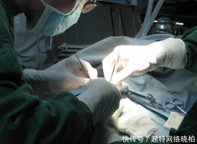 肾上腺|大型手术时如果主刀医生尿急该怎么办？说出来你都不一定会相信