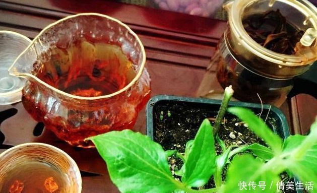 叶子|浇花就用这三种水，叶子油绿开花猛，再也不长虫子