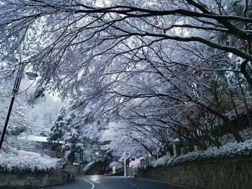 邂逅|来莫干山，邂逅一场冰雪奇缘吧！