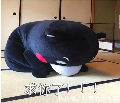 爆痘|油皮护肤攻略!夏季爆痘、黑头、毛孔粗大?我来拯救你们了!